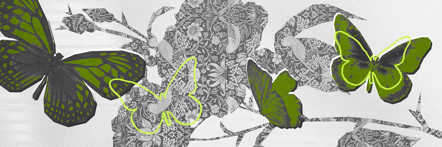 Fragrance Oils 101: A Maker’s Guide to What’s Inside the Bottle