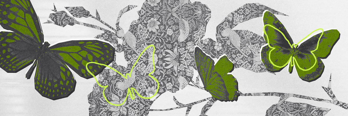 Butterflies on a white background with black and gray patterns. Fragrance oil