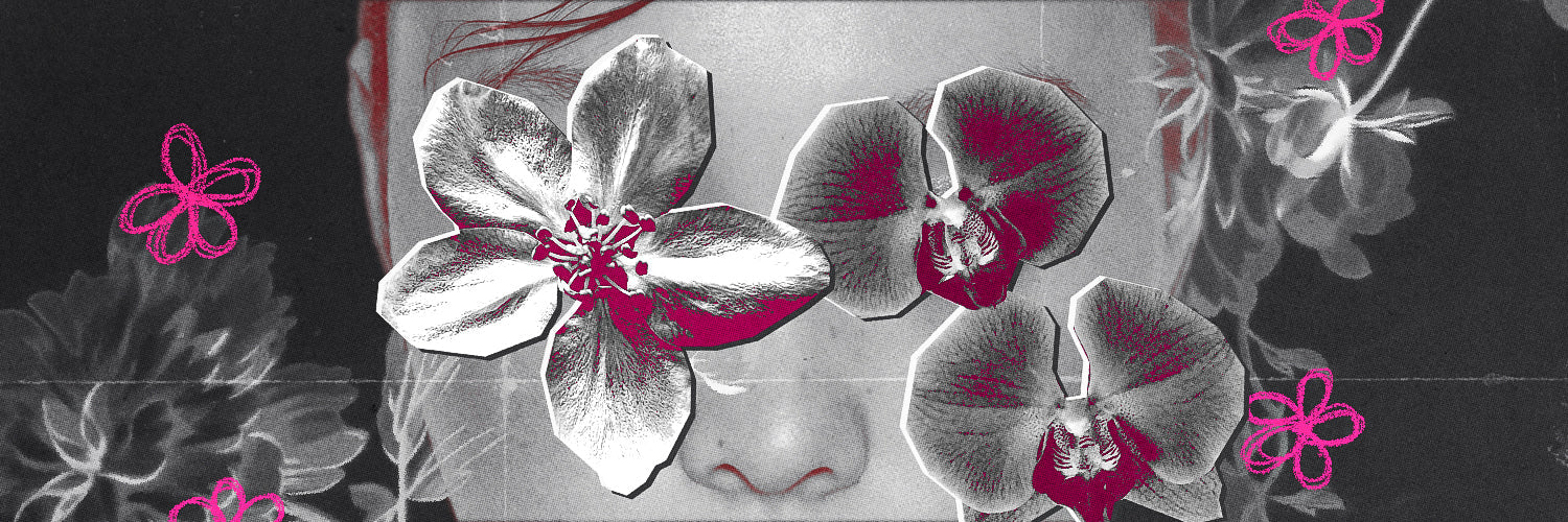 Blooms
