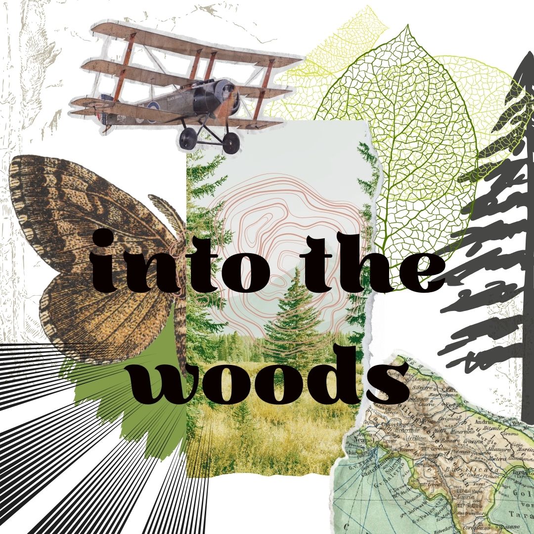 Into the Woods Sampler Pack
