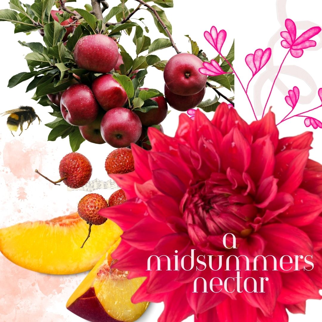 Indulge in a midsummer night's mischief! Dive into grilled peaches & brown sugar, chase the pomelo sunrise, bask in Saint-Tropez sun, whisper secrets with lychee & dahlia, and swirl in honeysuckle & rose water. Discover your perfect fragrance adventure in "A Midsummer Nectar".