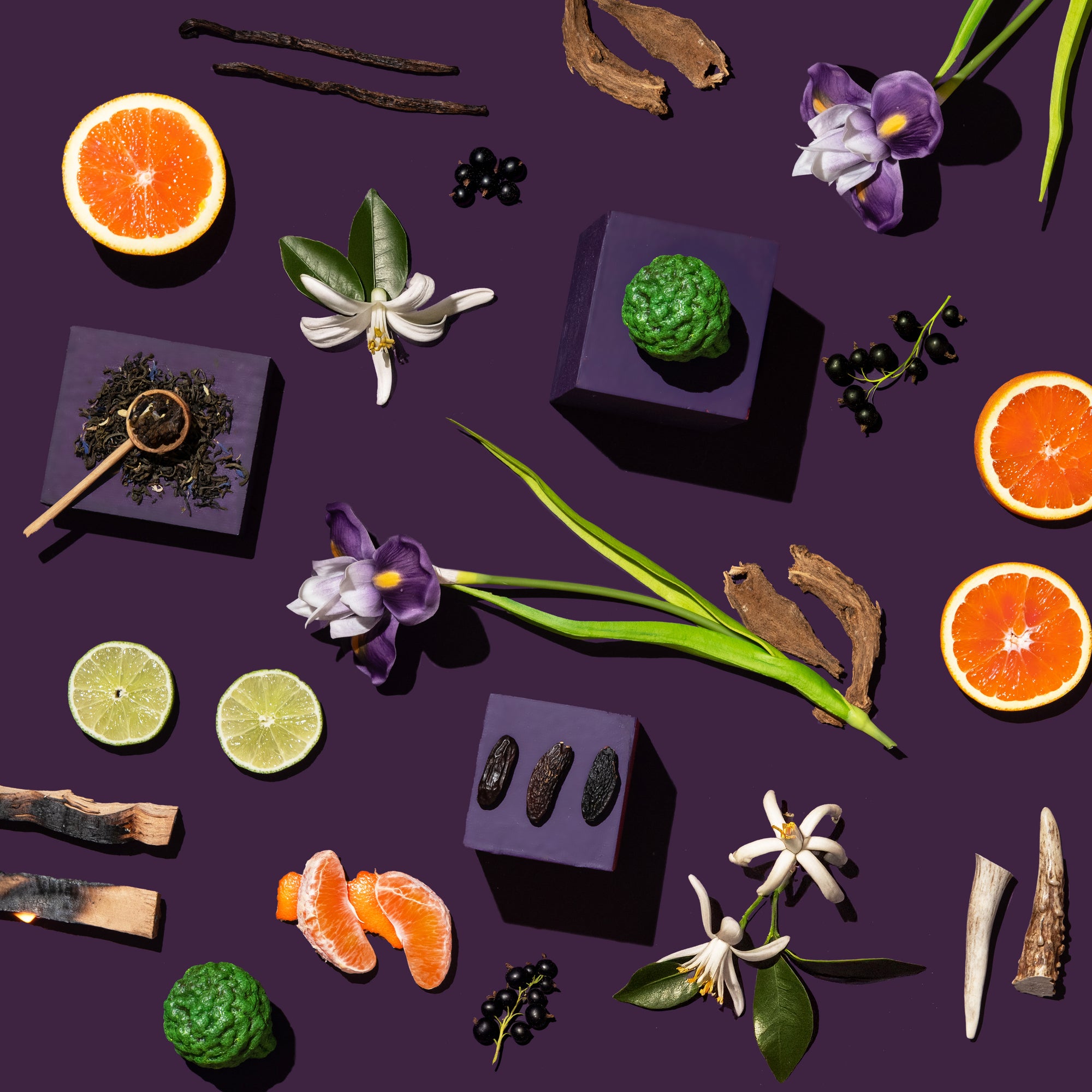 Spices, fruits, and flowers arranged on a purple background