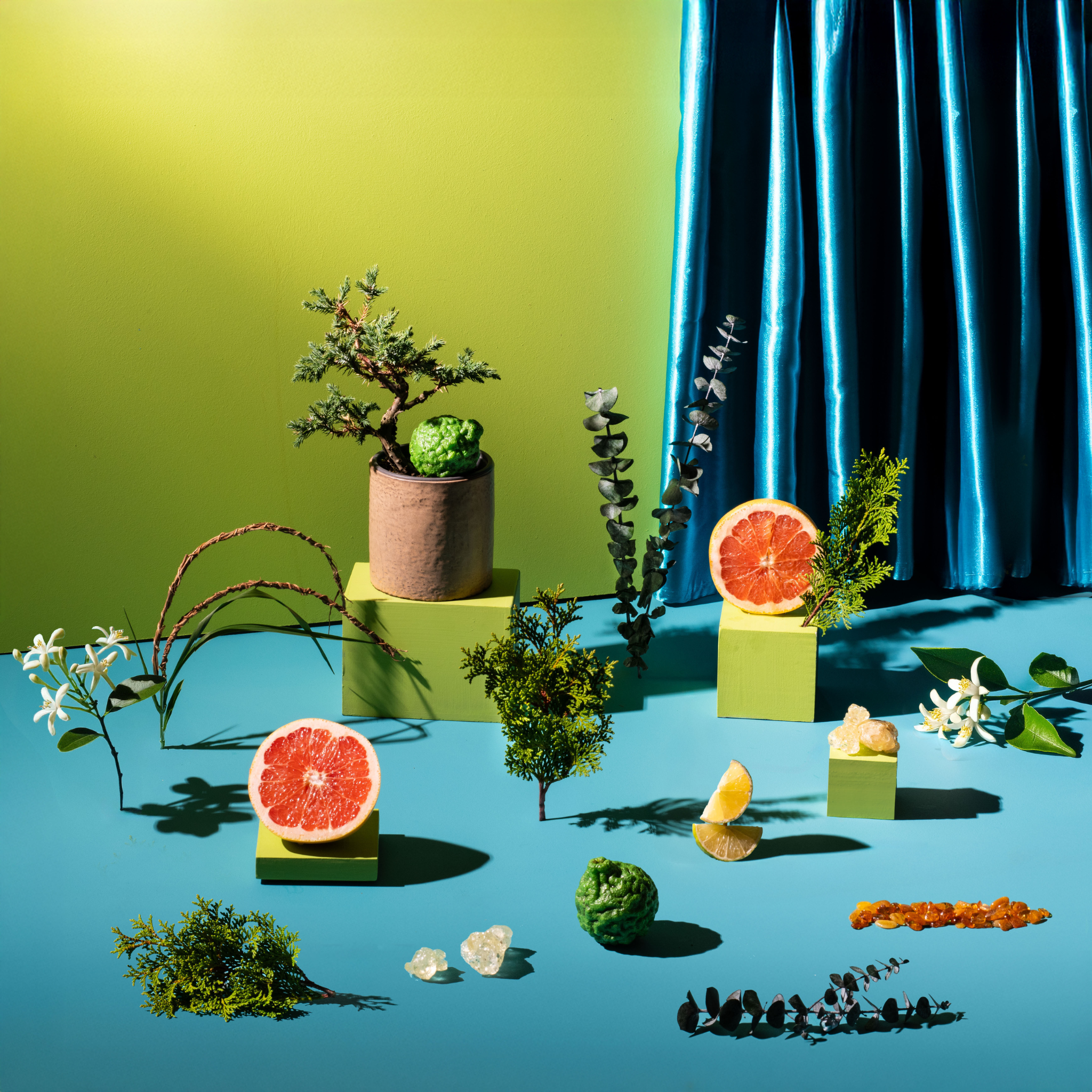 Colorful still life arrangement with plants, fruits, and flowers on a blue and green gradient background.