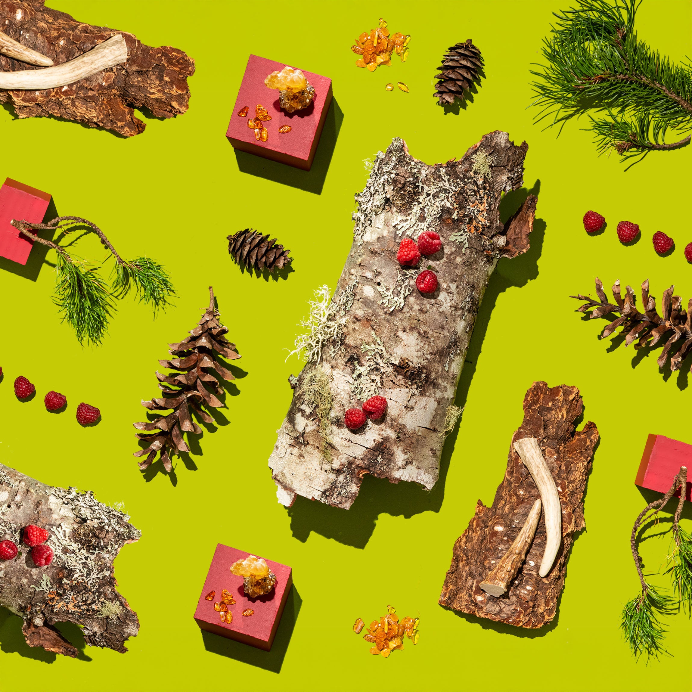 Decorative arrangement with logs, pine cones, and red berries on a green background