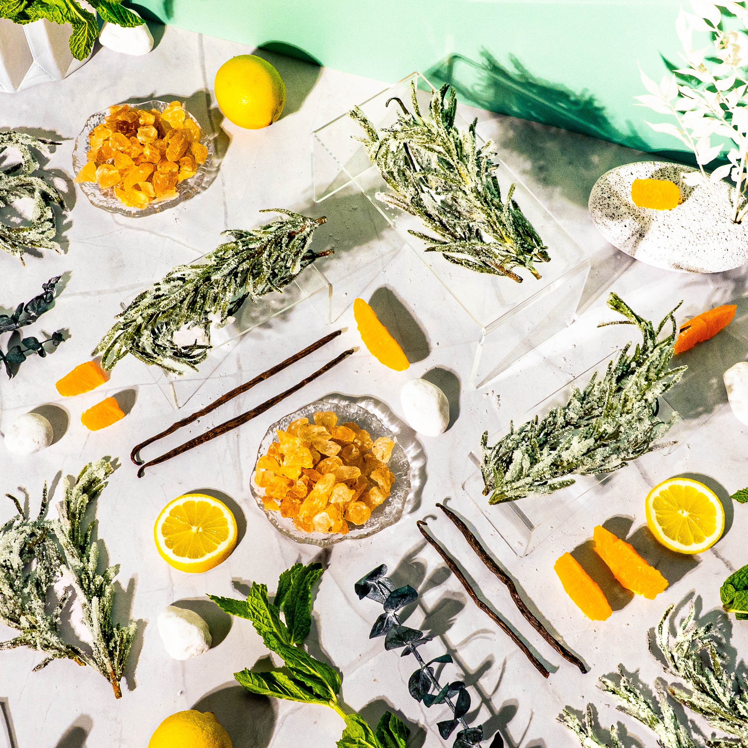 Bright flat lay for a fragrance oil featuring sugared rosemary sprigs, citrus slices, orange zest, rock sugar, mint leaves, vanilla beans, eucalyptus, and decorative white stones on a marble surface with soft green and pastel accents in the background