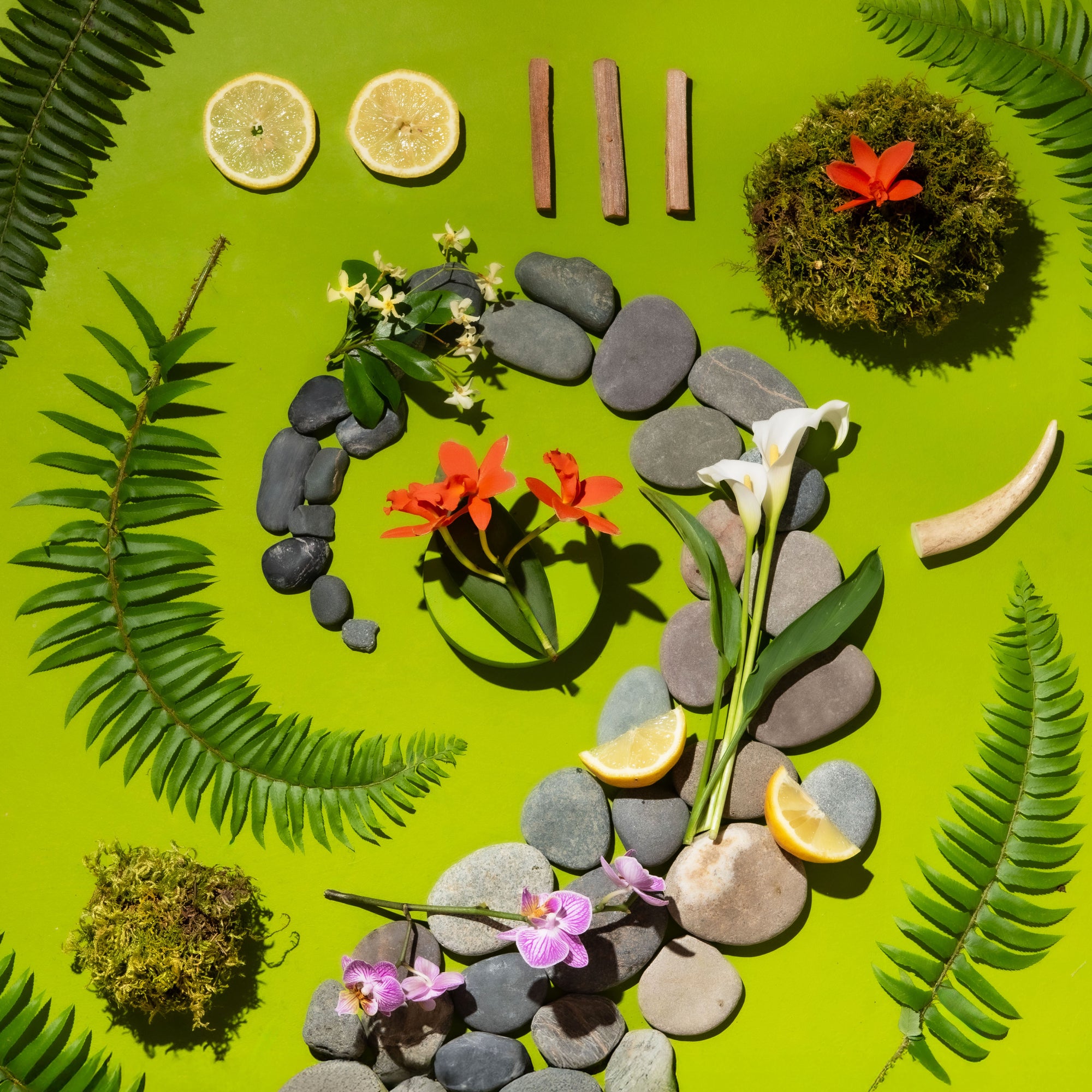 Bright flat lay of citrus slices, river stones, moss, ferns, orchids, calla lilies, and small wood pieces arranged on a vivid green background with strong sunlight and crisp shadows.