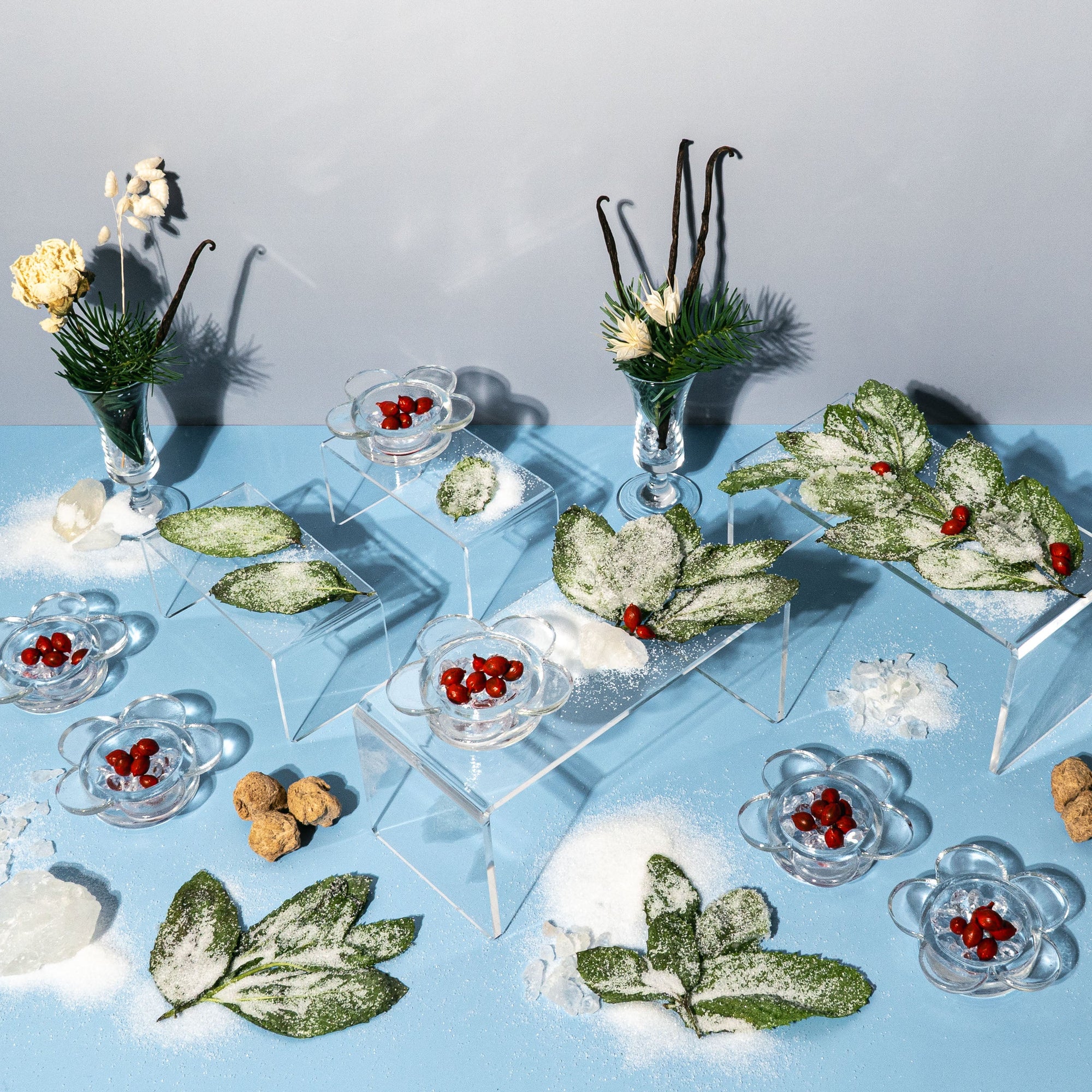 A winter themed still life on a pale blue surface featuring sugared green leaves, red berries in glass dishes, vanilla pods, powdered sugar, pine sprigs, and dried florals. The elements are arranged on clear acrylic risers and surrounded by scattered crystals and natural textures, creating a festive, frosty atmosphere.