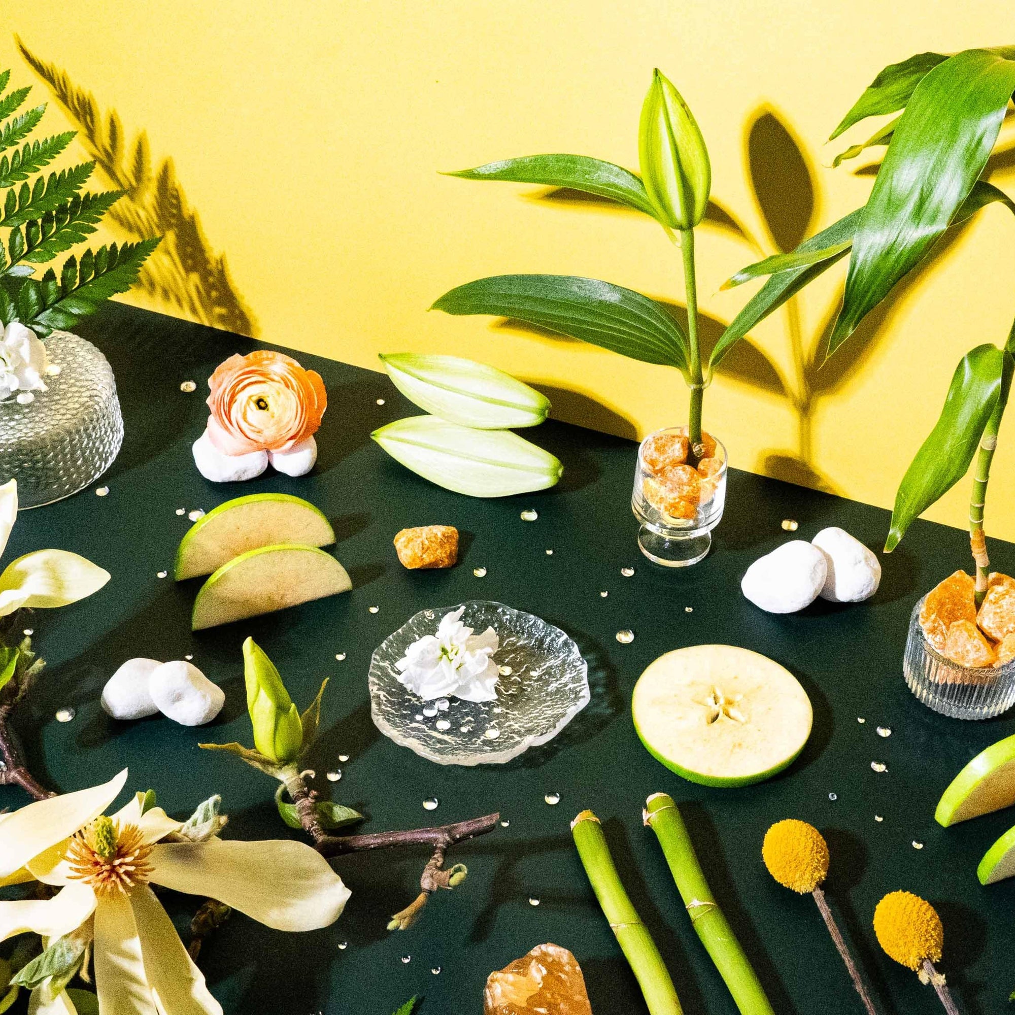 A vibrant still life arrangement featuring an assortment of tropical plants, flowers, and fruits on a dark green surface against a yellow background. Key elements include white magnolia blossoms, a sliced apple, yellow flowers, a small potted plant with white flowers, and scattered natural accents like stones and seashells.