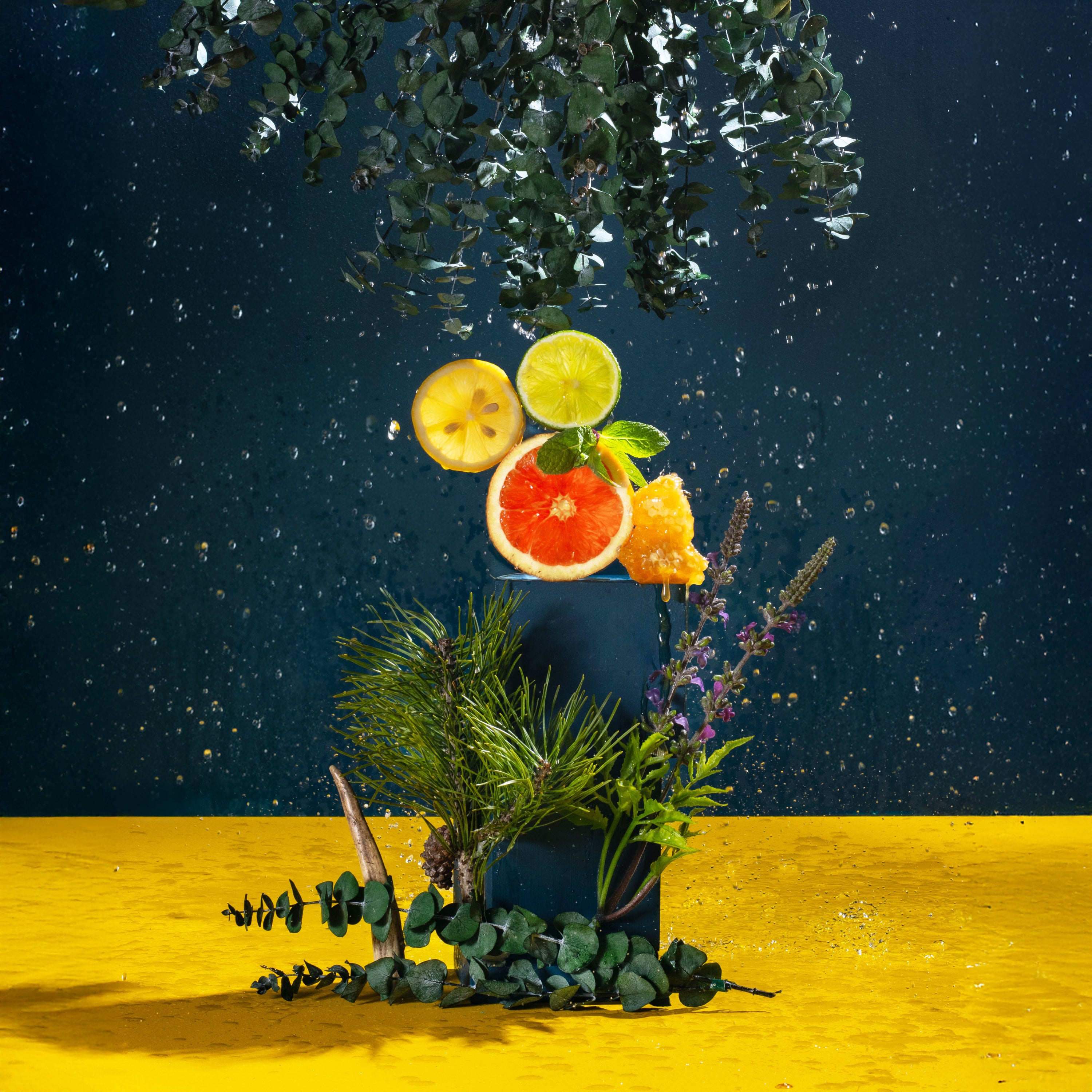 Moody still life with rain-like droplets: sliced citrus (lemon, lime, grapefruit) and fresh mint stacked on a dark pedestal, with hanging eucalyptus overhead and pine, lavender, greenery, and scattered eucalyptus leaves on a bright yellow surface.