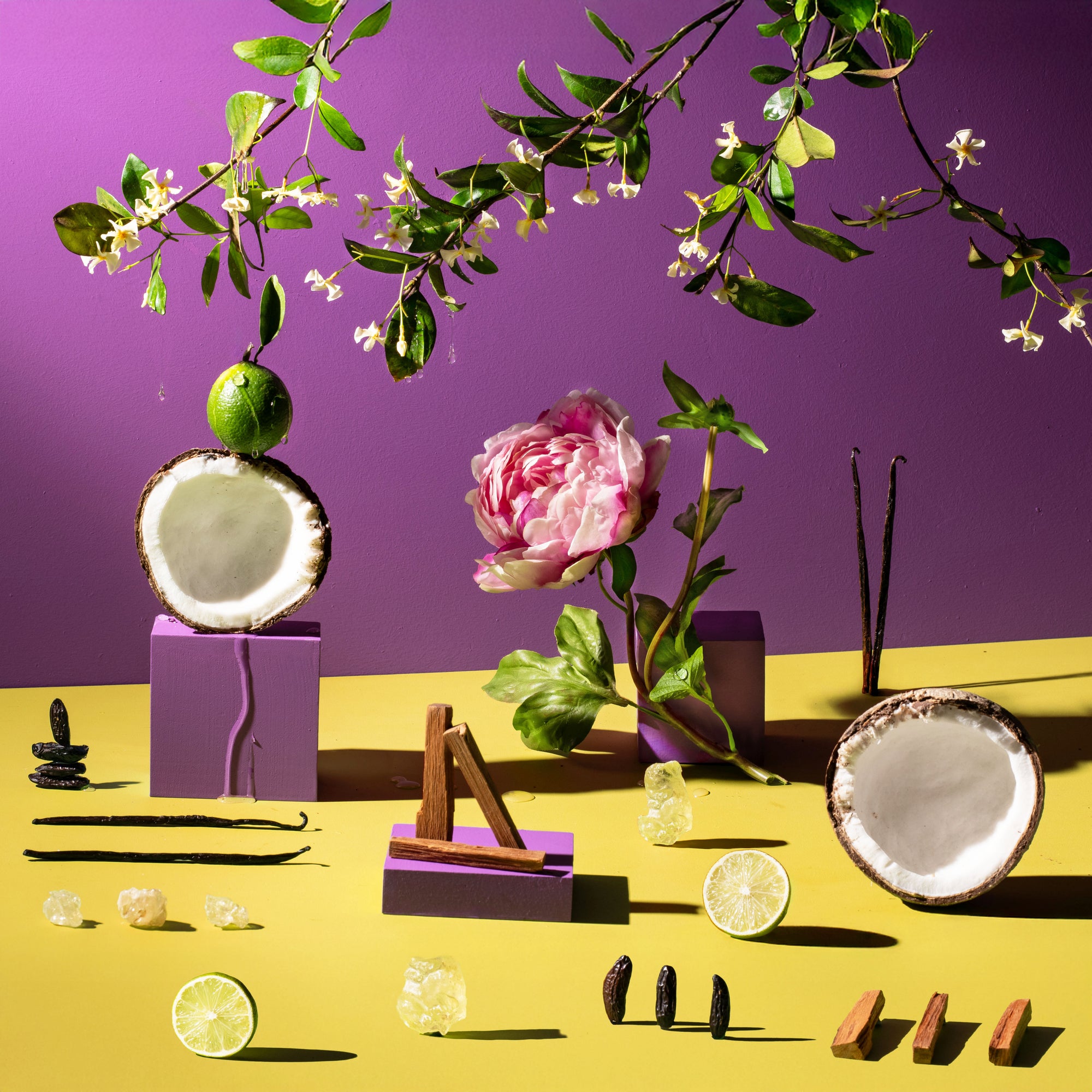 Colorful still life arrangement with coconuts, flowers, and limes on a purple and yellow background.
