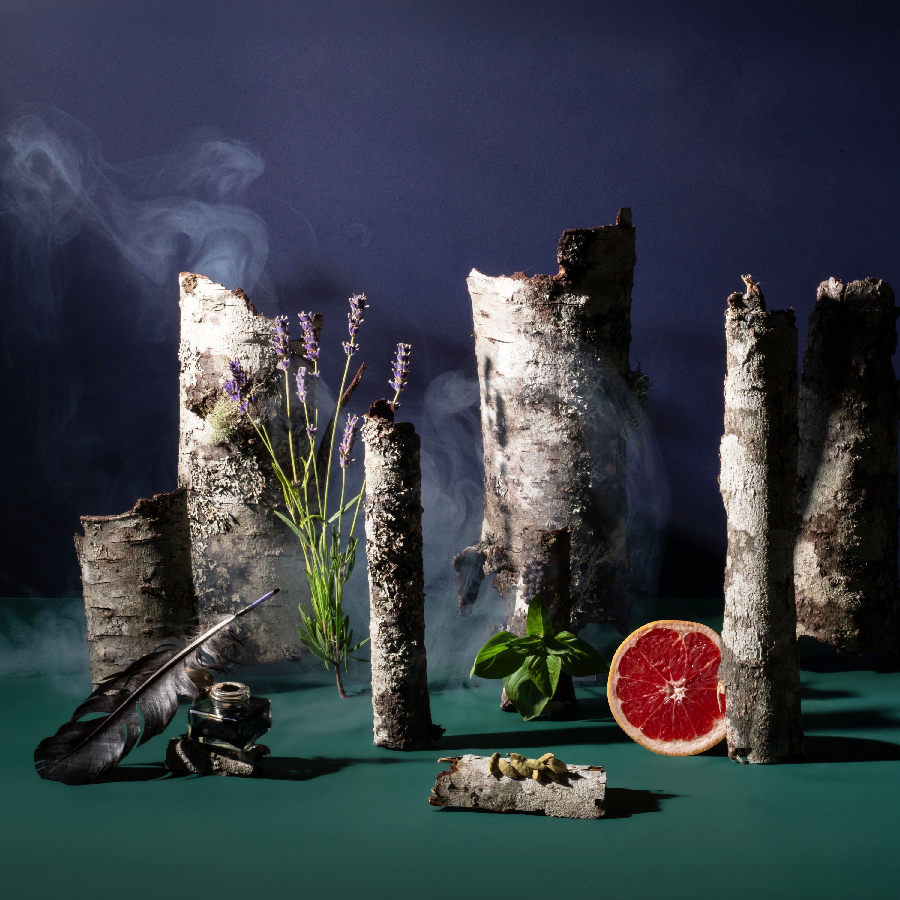 Moody woodland still life featuring birch logs, drifting smoke, lavender, basil, grapefruit, cardamom pods, a black feather, and an ink bottle against a deep blue background.