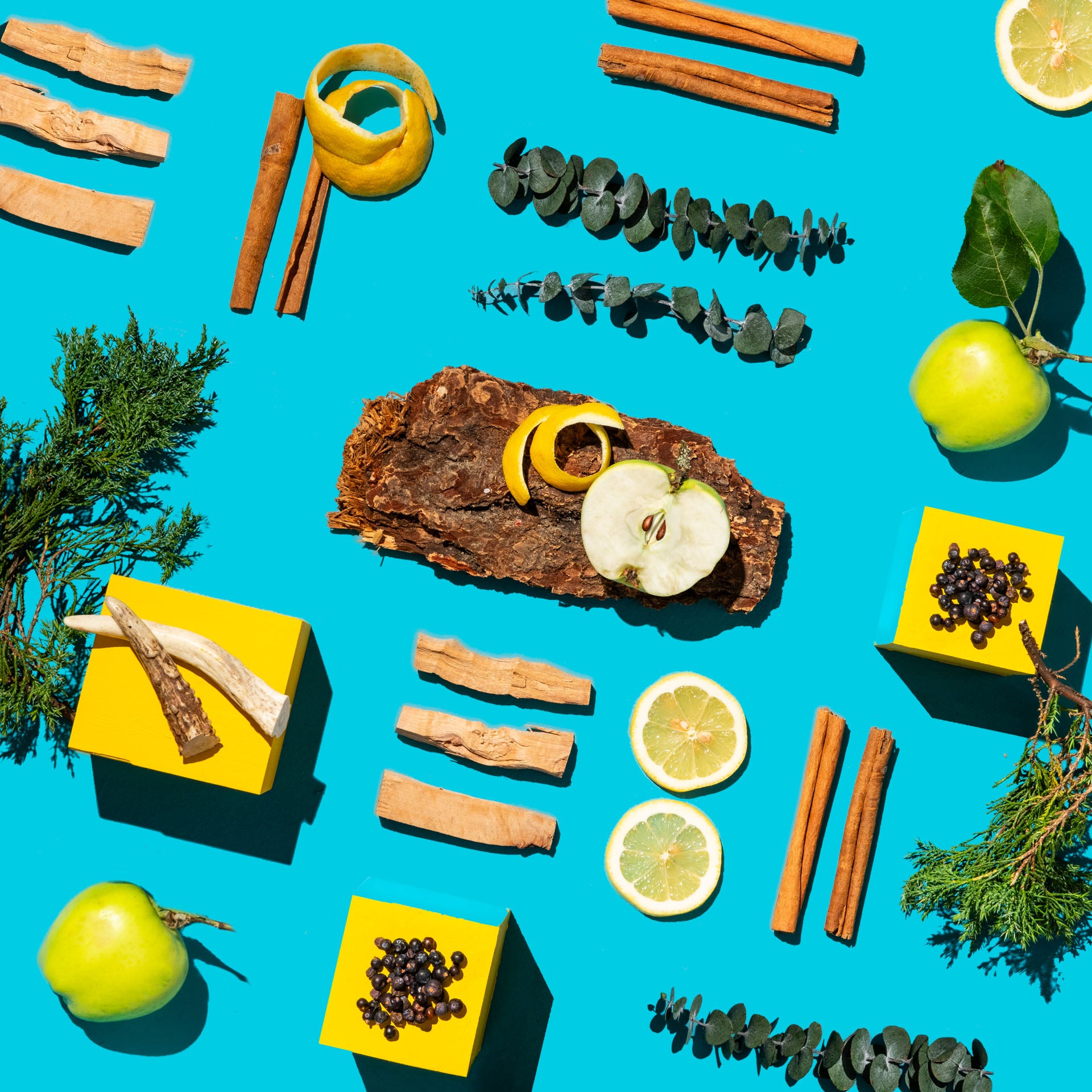 Spices, fruits, and herbs on a blue background