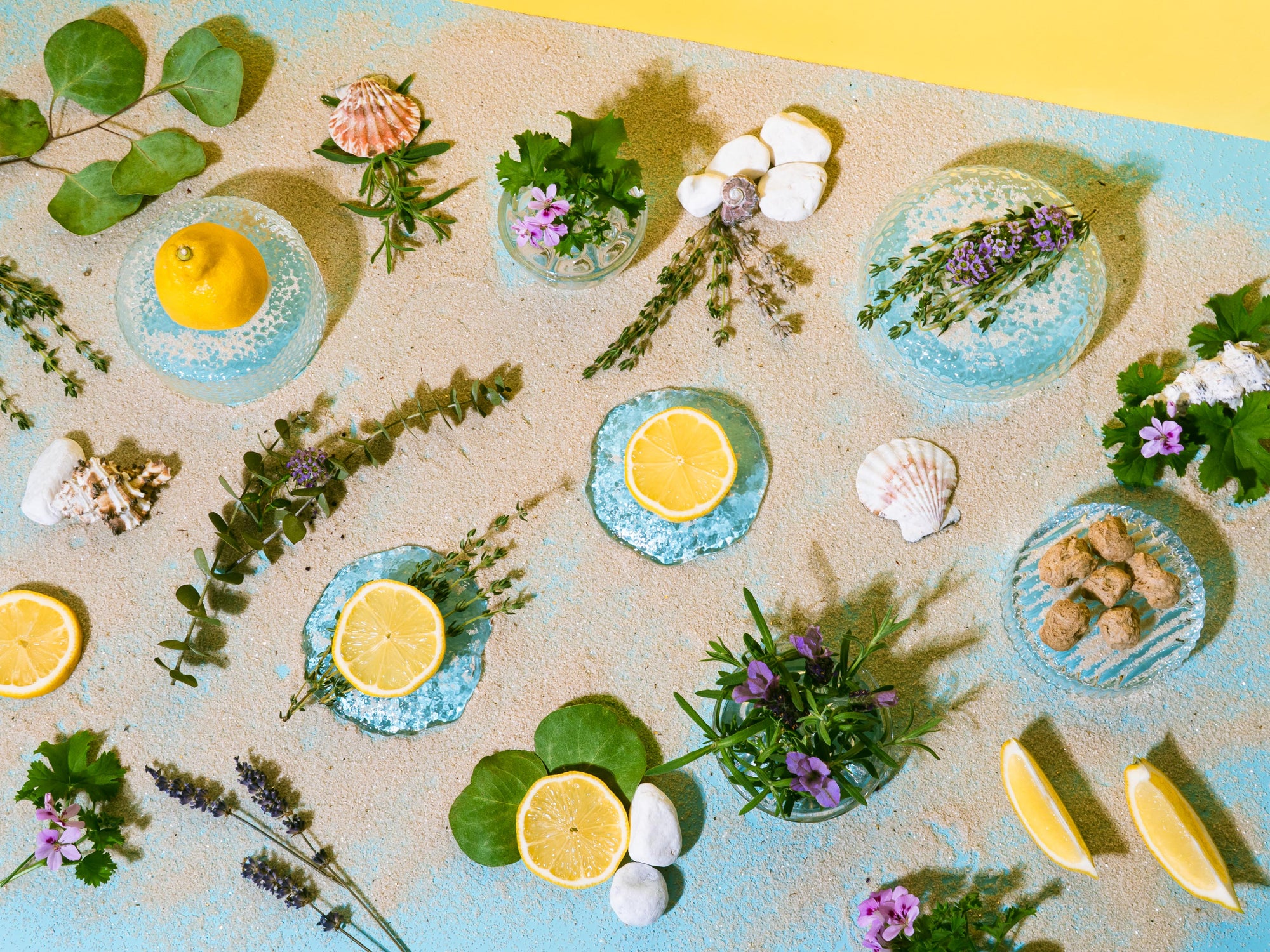 Plates with lemons, flowers, and shell-like objects on a textured surface with a yellow border.