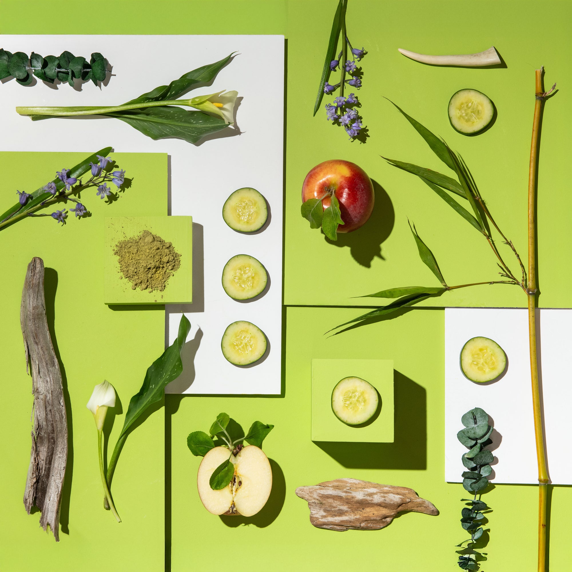 Color swatches and natural elements on a green background