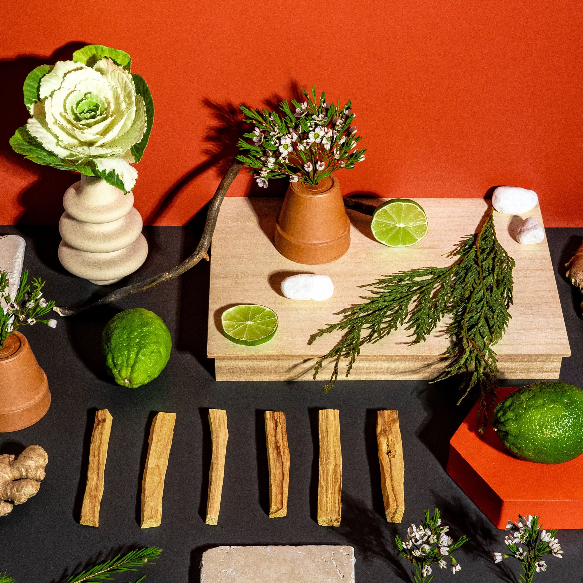 A vibrant and earthy composition set against a bold orange backdrop. The scene features fresh limes, ginger root, cedar sprigs, palo santo sticks, and delicate blossoms arranged in terracotta pots. A striking ornamental cabbage and smooth white stones add texture and contrast, while wooden blocks and greenery create a natural, balanced layout. The arrangement exudes freshness, warmth, and grounding energy.