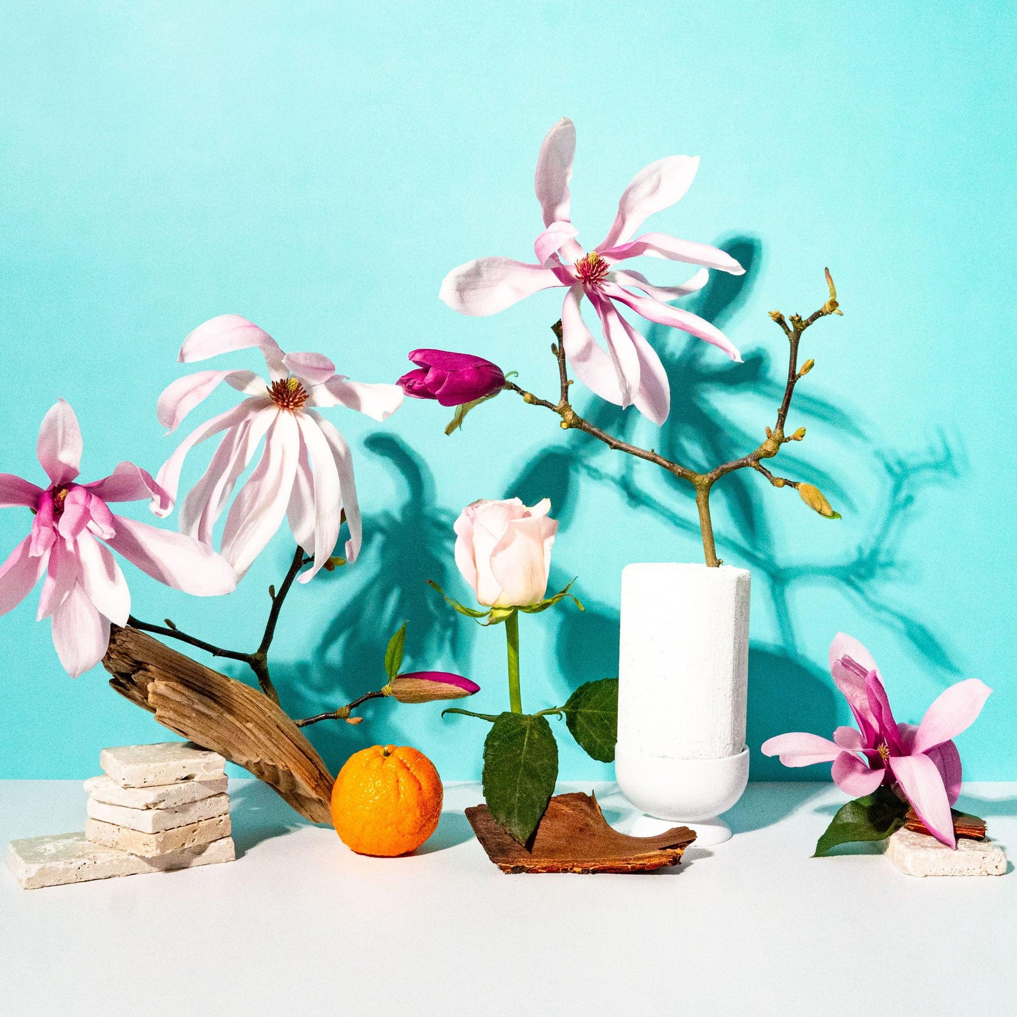 A still life arrangement featuring a white floral fragrance bottle, with surrounding magnolia flowers, sandalwood branches, an orange, and stacked stones on a bright blue background.