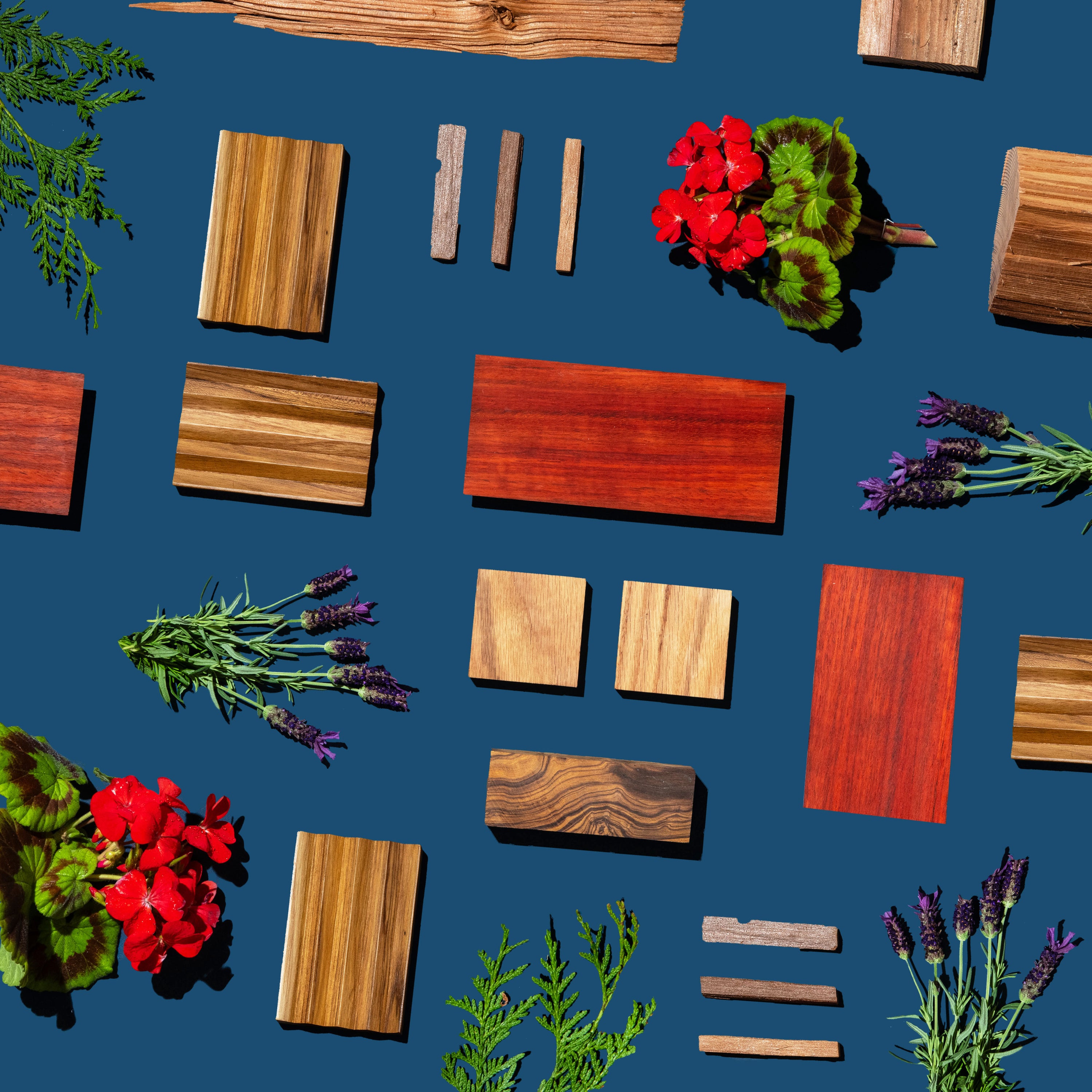Wooden planks and flowers on a blue background