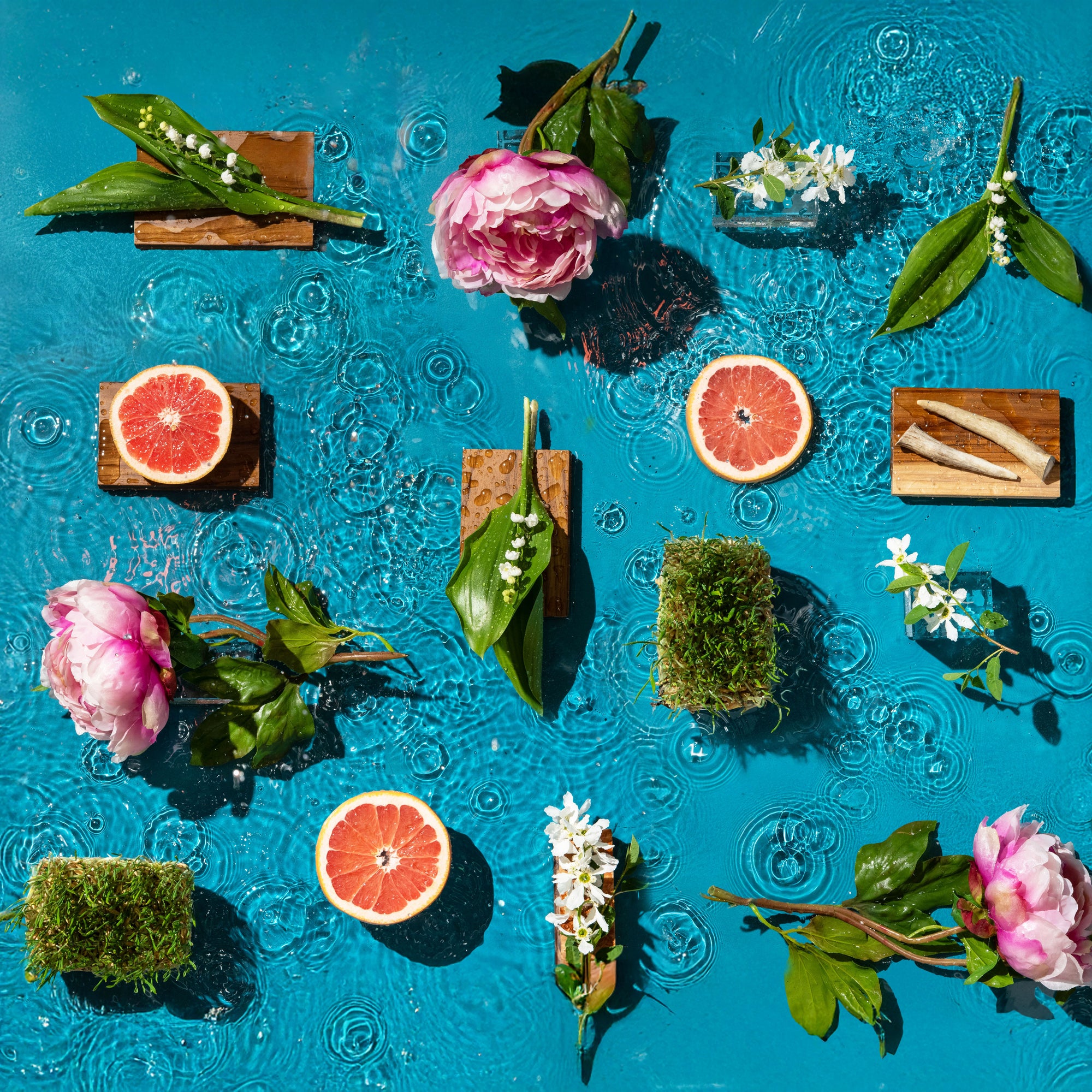 Fruits, flowers, and plants arranged on a blue textured surface