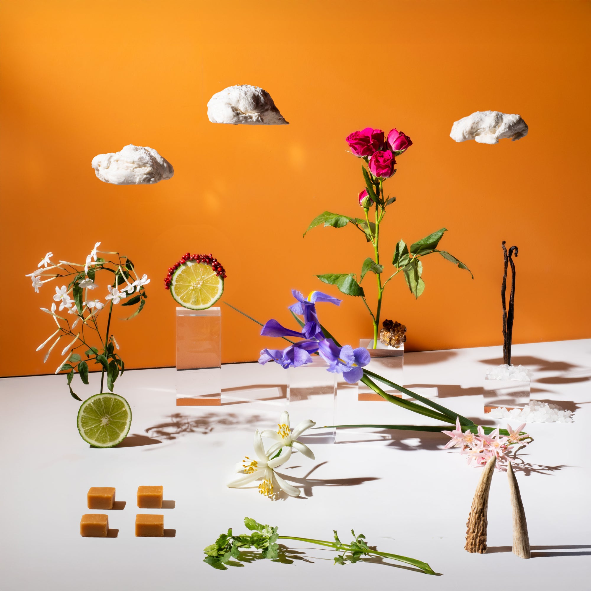 Colorful flowers and decorative elements on a white surface with an orange background