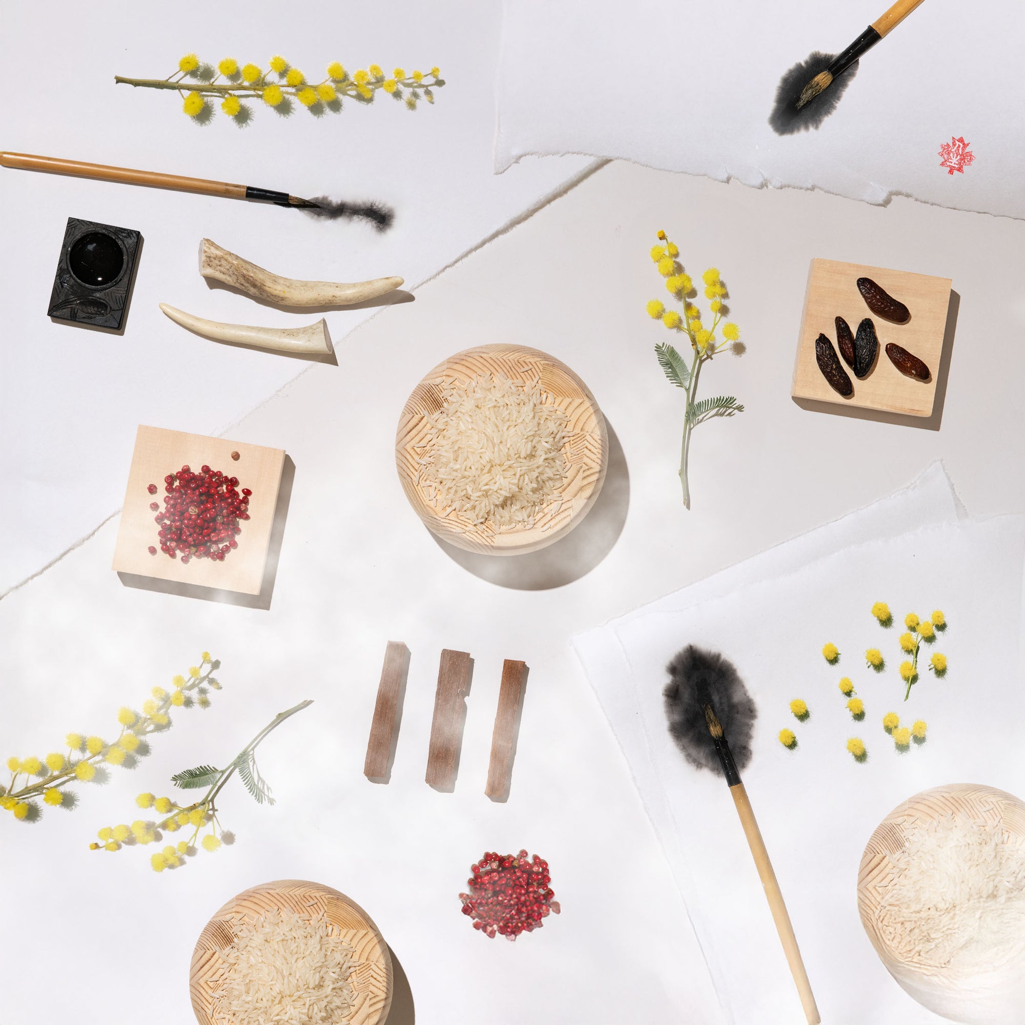 Various natural items including stones, plants, and wooden tools on a white background