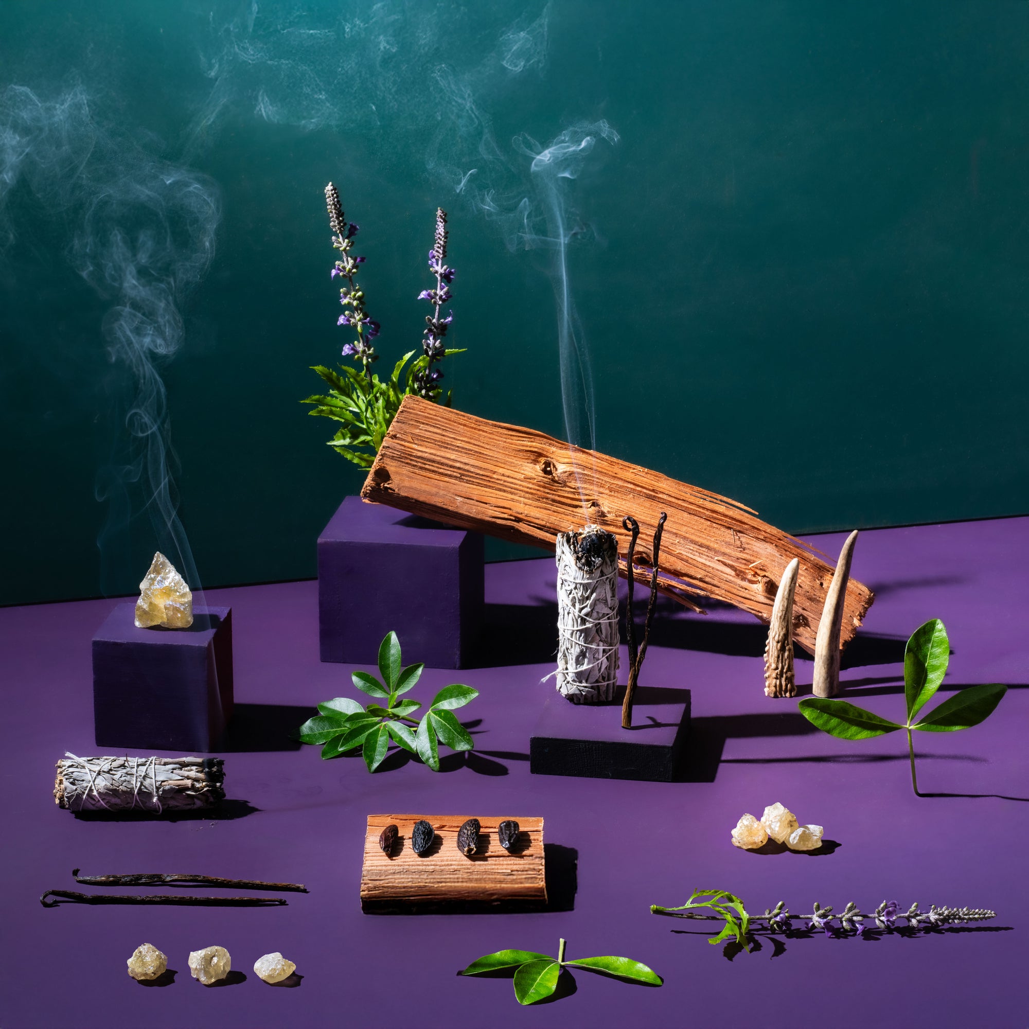 A wooden plaque, crystals, and plants on a purple surface with a dark green background.