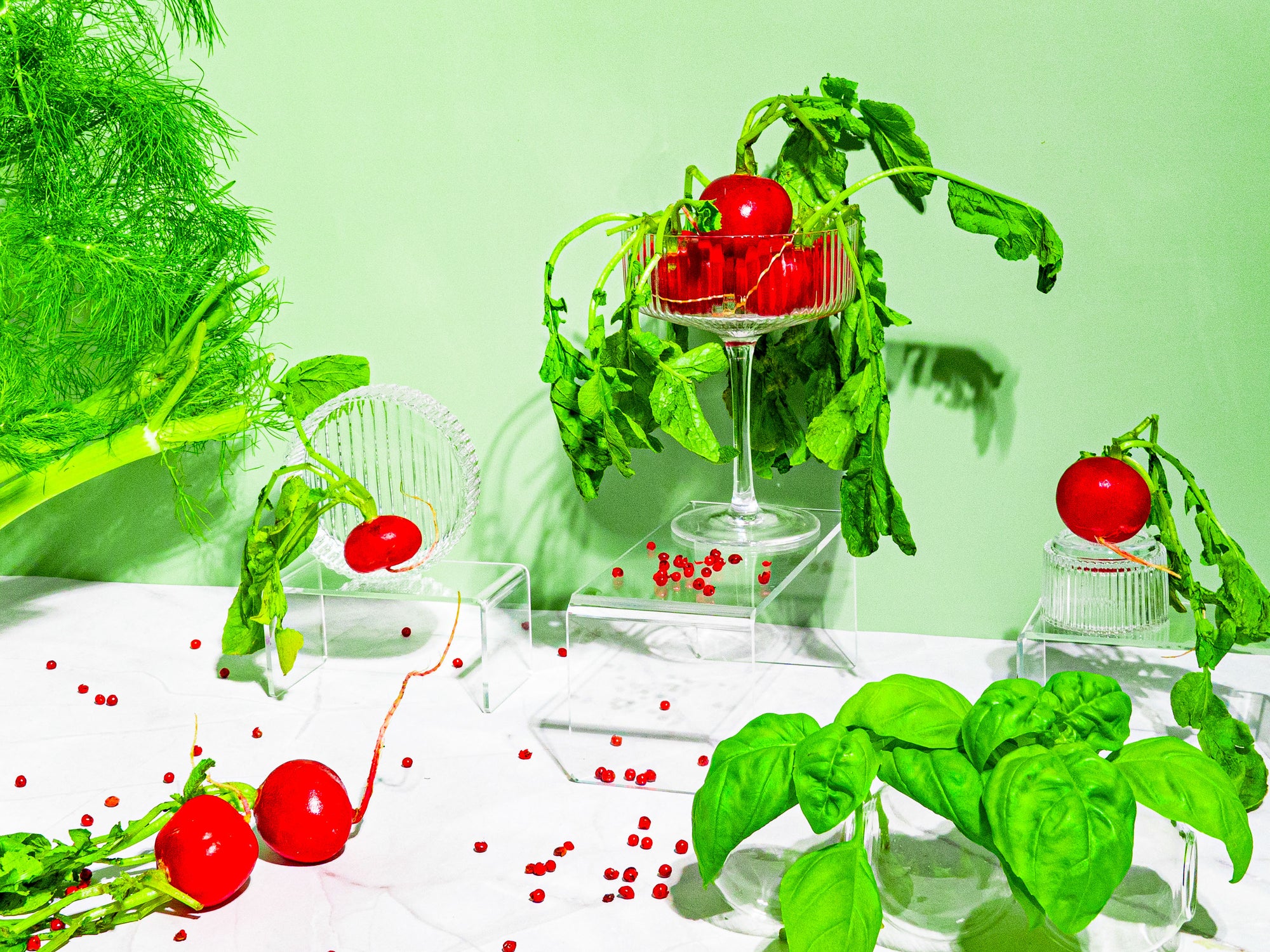 Vibrant still life featuring fresh radishes with leafy tops, fennel fronds, basil leaves, and scattered pink peppercorns arranged on clear acrylic stands and glassware against a mint green background on a white marble surface.
