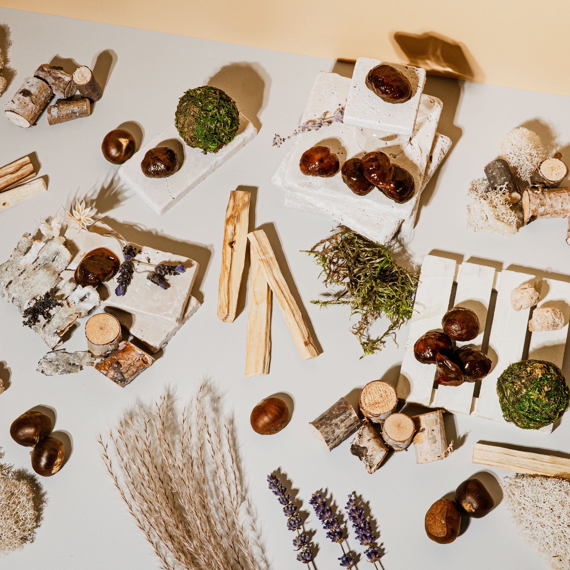Arrangement of natural items including stones, herbs, and wooden elements on a light surface.