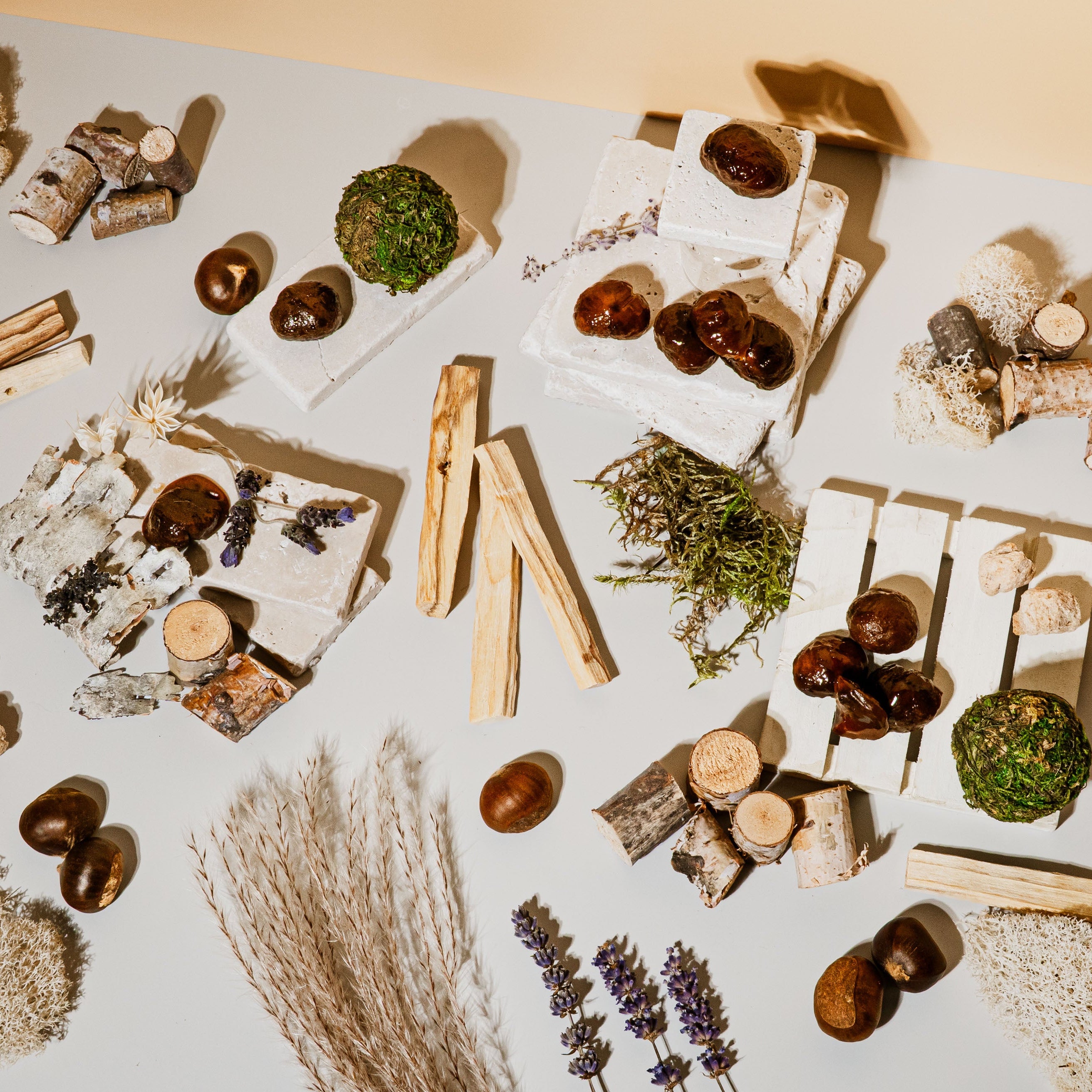 Arrangement of natural items including stones, herbs, and wooden elements on a light surface.