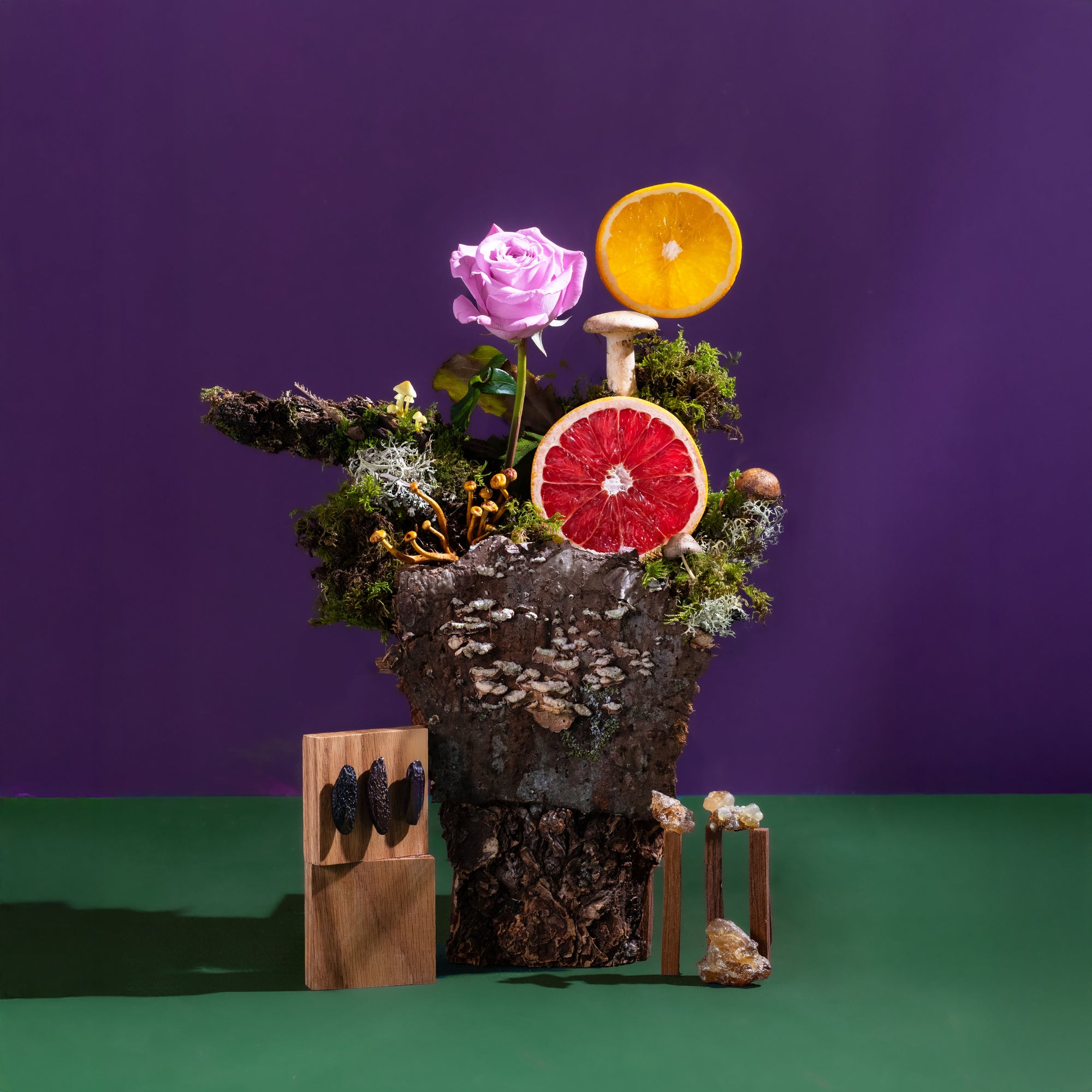 Artistic arrangement of fruits, flowers, and natural elements on a purple background