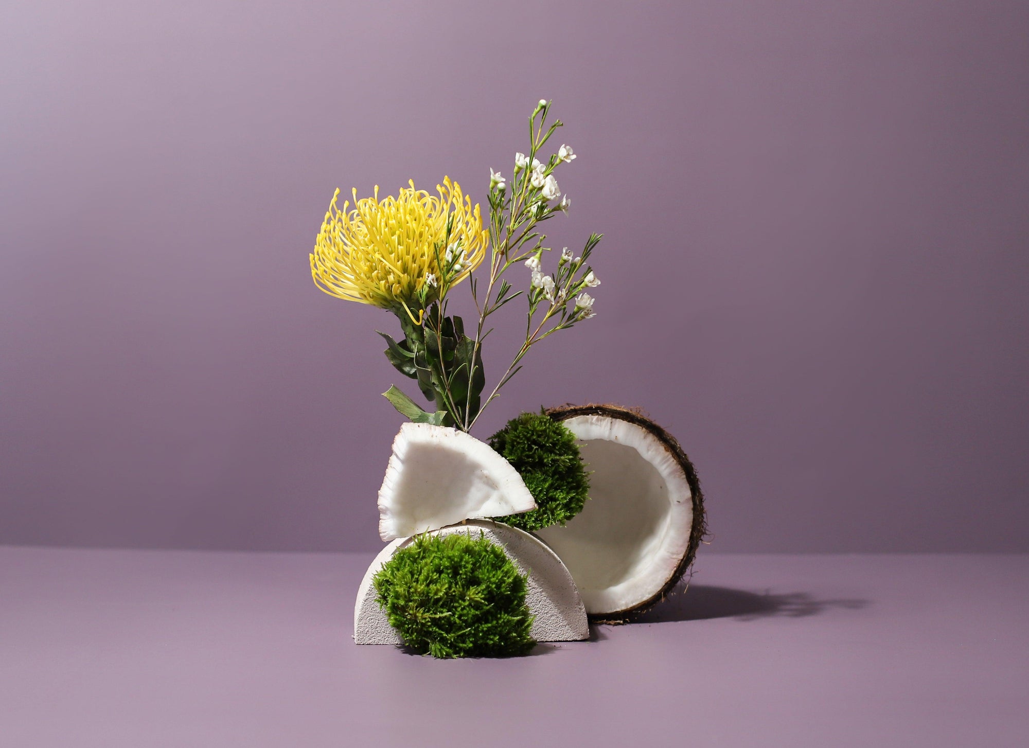 Coconut stacked with wild flowers and moss